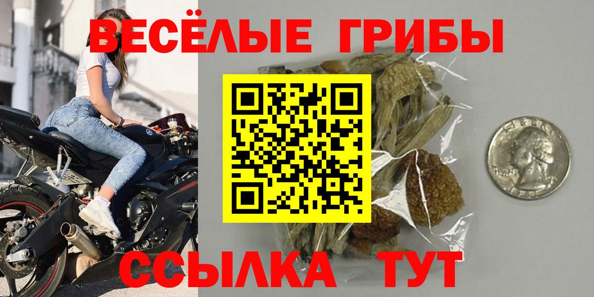 Галлюциногенные грибы Magic Shrooms Саратов