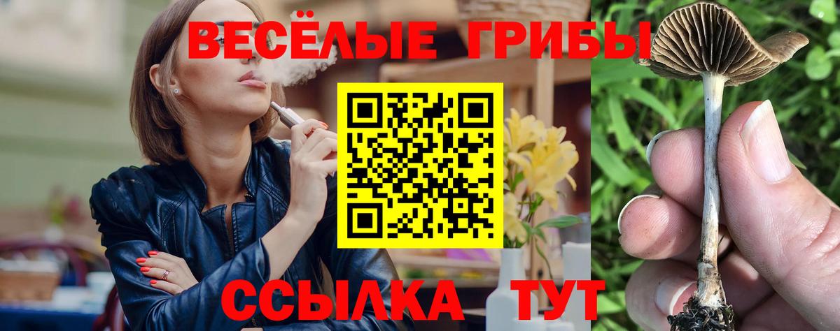 Галлюциногенные грибы прущие грибы  Вход с VPN  Саратов 